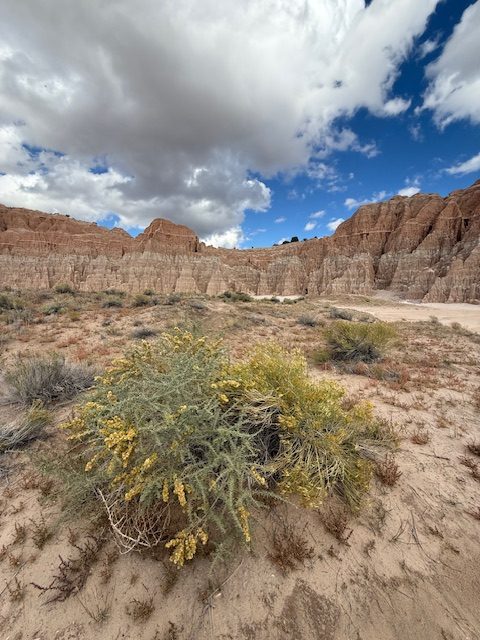 October 2025 Roadtrip – Cathedral Gorge State Park